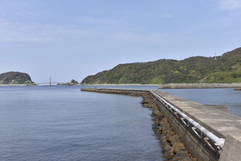 中甑港