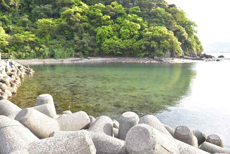 中津川河口