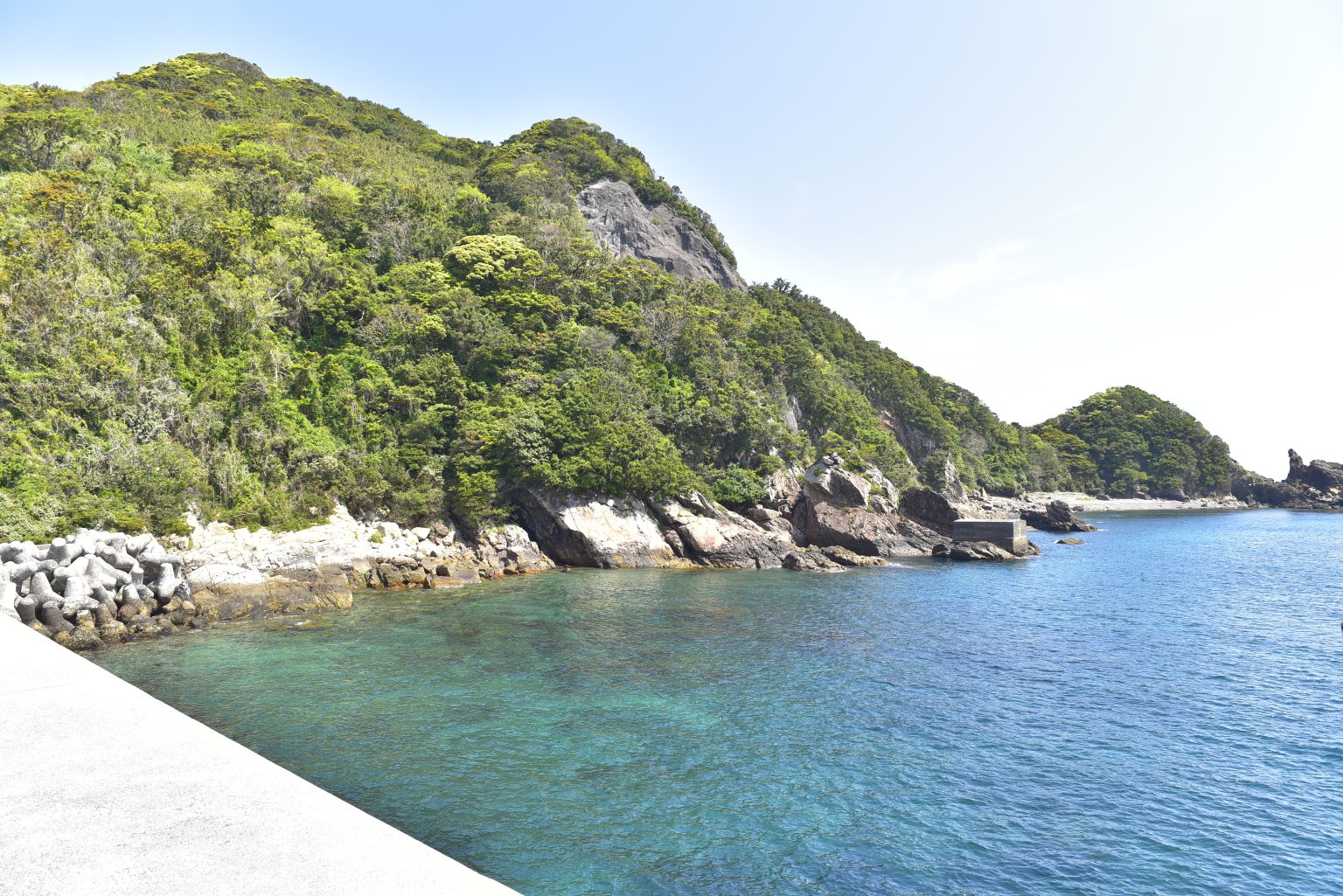 手打港